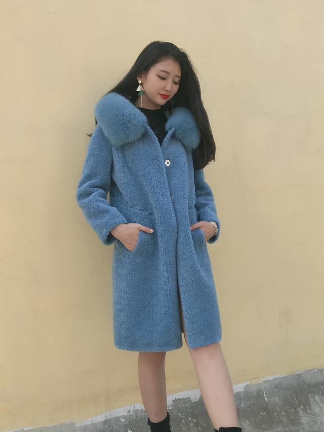 三七花最新價格揭秘，溫馨小故事中的尋找之旅