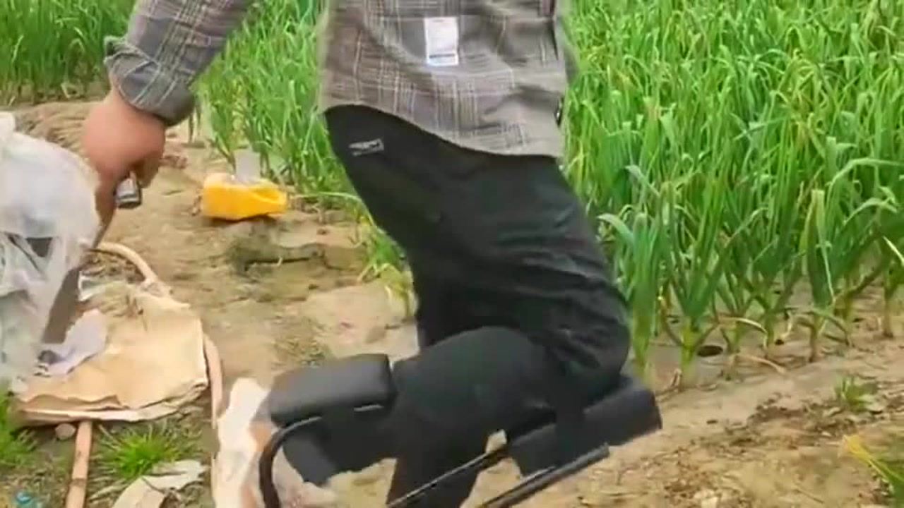 最新挖蒜工具，心靈與自然的完美交融