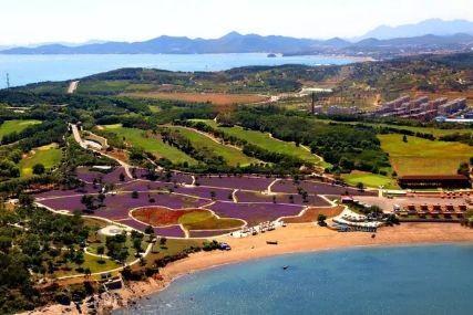 心悅海島探險攻略，最新任務(wù)指南與探險體驗