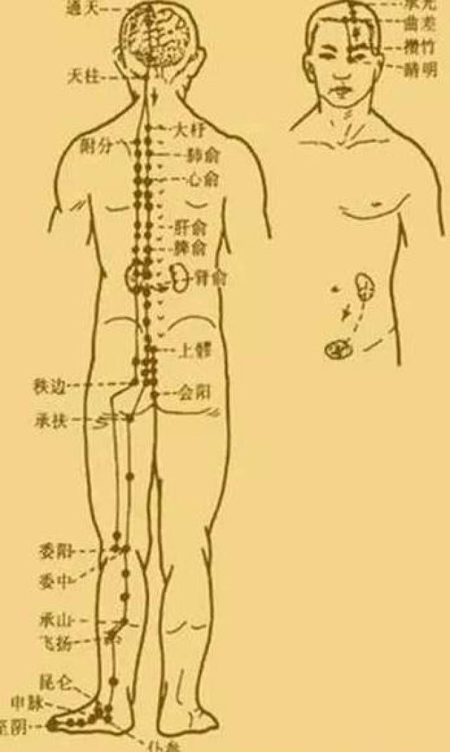 最新經(jīng)絡(luò)操，探索古老奧秘，重塑健康身姿