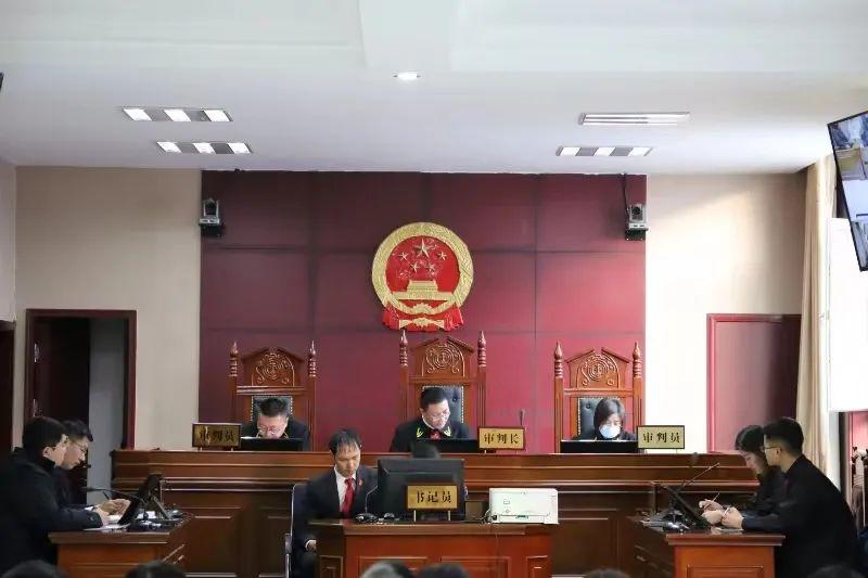 偏關(guān)最新案件深度解析，揭示真相，關(guān)注社會(huì)公正與公平