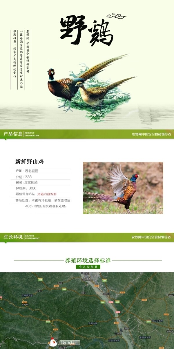 深度剖析，最新山雞的背景、事件與地位概述