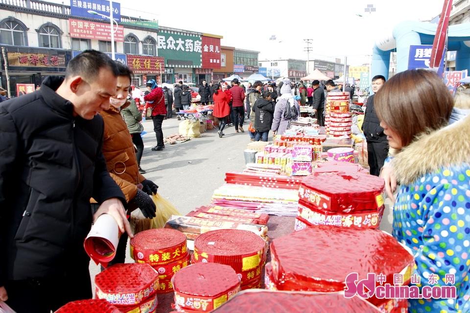 淘元素最新，淘淘的奇妙冒險(xiǎn)之旅與友情的溫暖體驗(yàn)