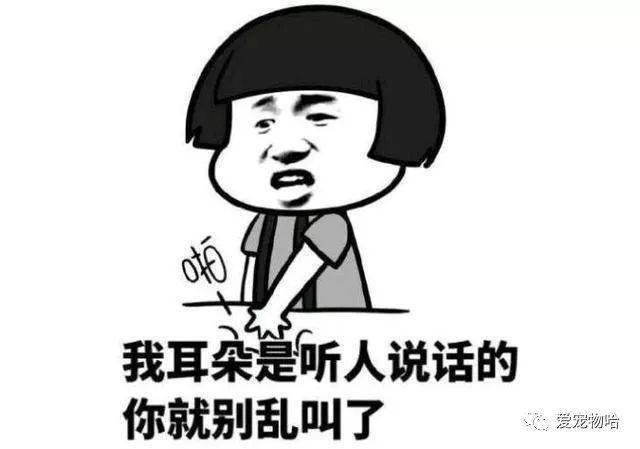 最新枕邊笑話，科技小寶貝，生活添樂趣