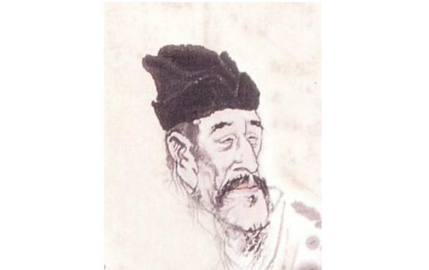 最新孤雁圖片，展現(xiàn)自然之美與深意的瞬間