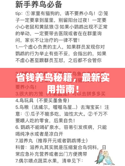 最新養(yǎng)鳥法規(guī)解析，觀點(diǎn)闡述與深度探討