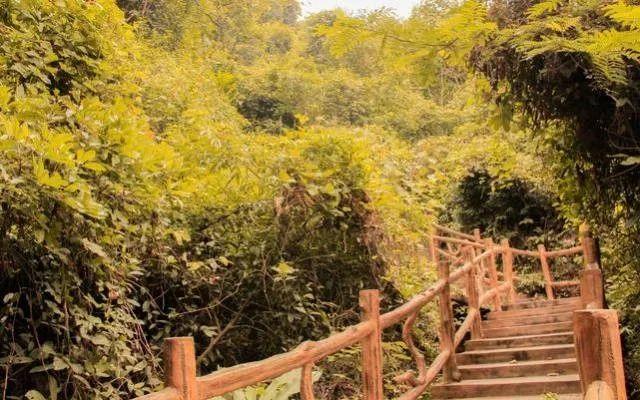 小99最新，科技、生活與娛樂的交融之地