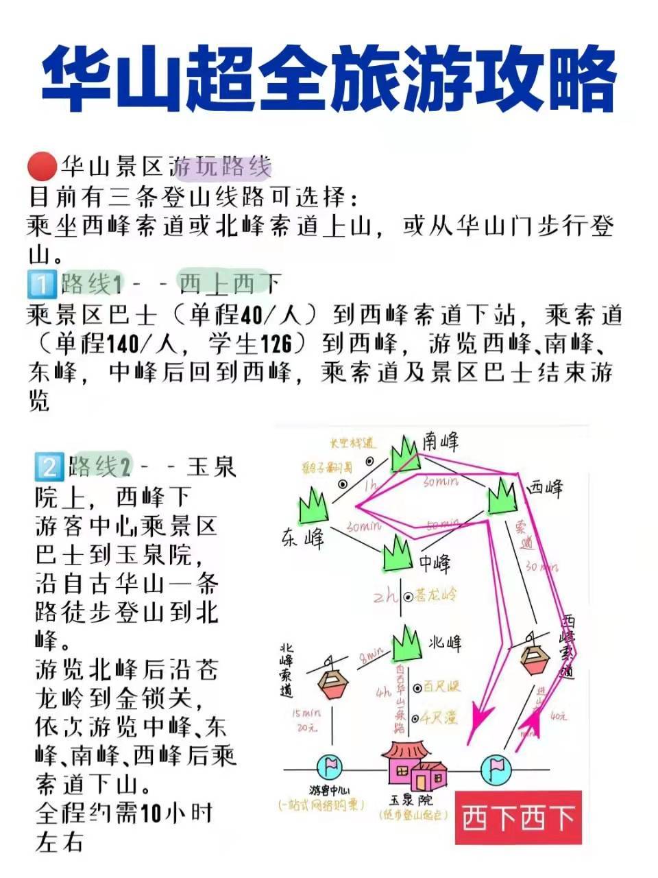華山旅游最新探秘，小巷中的獨特風味之旅