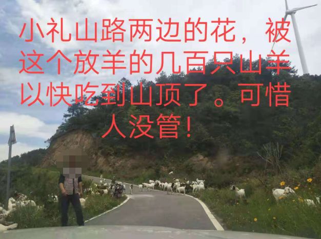 大悟最新路，探索未知，自信成就夢想之旅的啟程