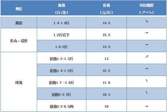探索海鮮市場秘密，最新鱸魚價格一覽