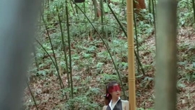 原野小年最新風(fēng)情，小巷深處的獨(dú)特魅力