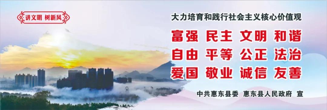 惠州肺炎最新動態(tài)，小巷深處的獨特小店背后的故事