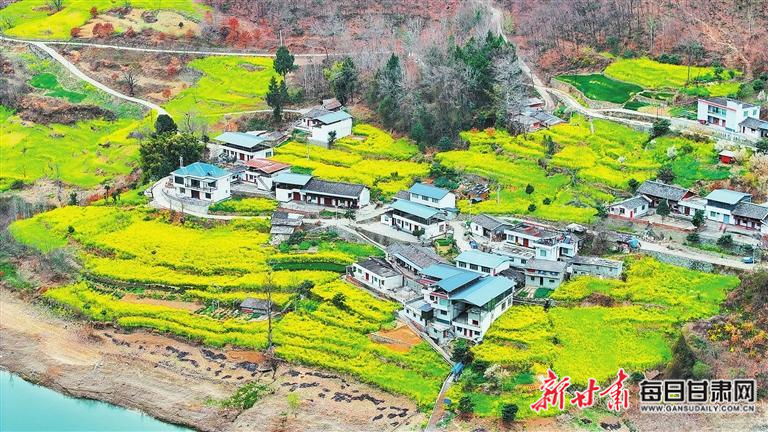 揭秘文縣，歷史背景、重大事件與時(shí)代地位全景展示