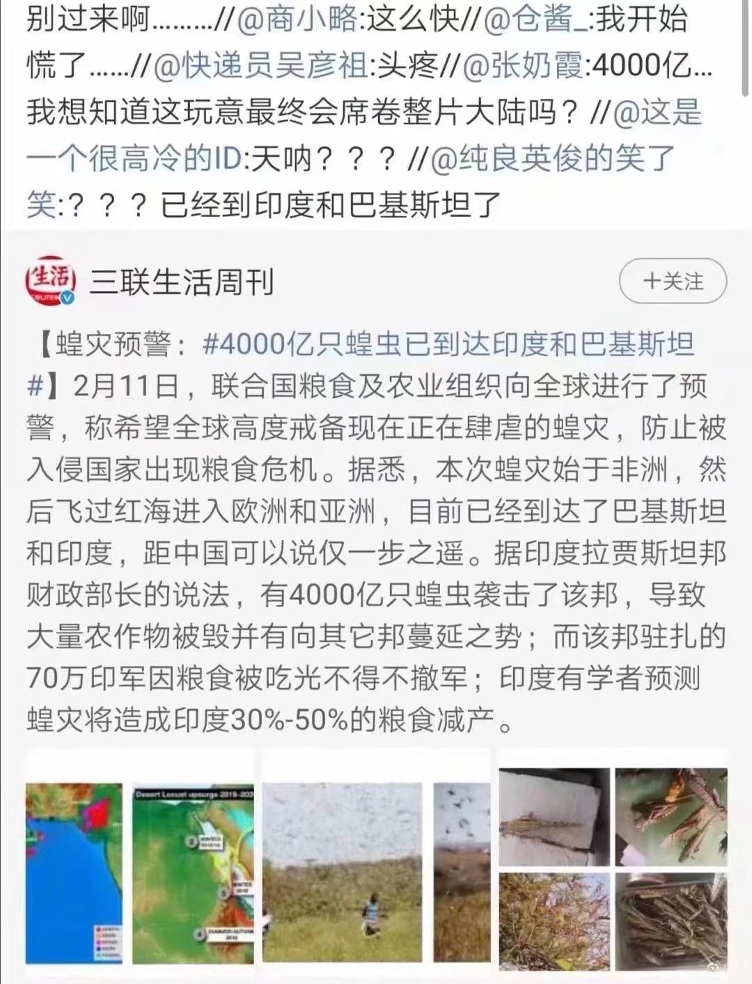 蝗蟲(chóng)最新動(dòng)態(tài)，防治與監(jiān)測(cè)的全面指南