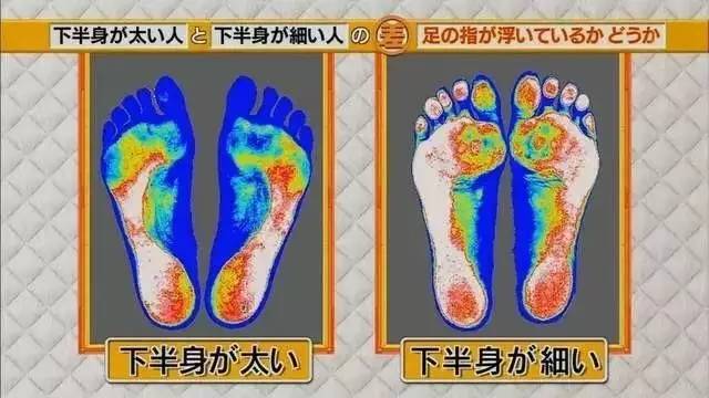 最新地趾論述，探索、爭議與觀點(diǎn)綜述