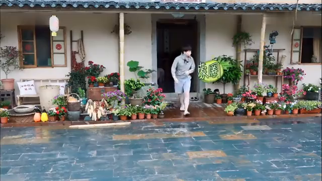 最新蘑菇屋，自然與生活完美融合的夢幻之地