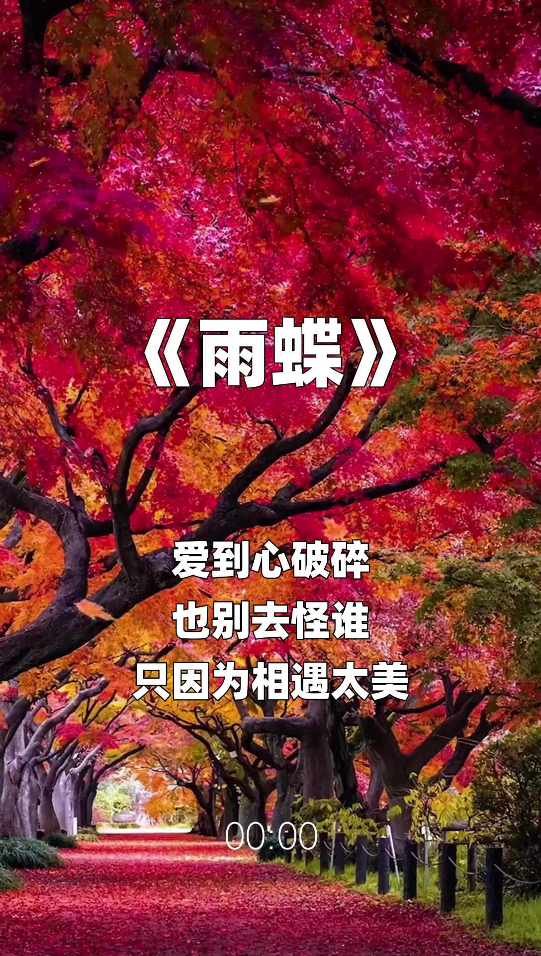 雨蝶最新步驟指南，如何完成任務(wù)或?qū)W習(xí)技能？