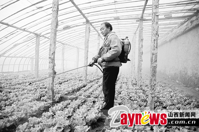 最新農(nóng)藥抽檢結(jié)果出爐，守護(hù)農(nóng)田安全，你我他的共同責(zé)任
