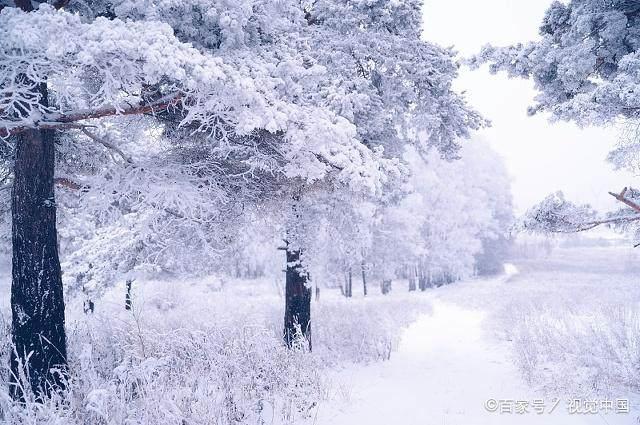冬日暖陽(yáng)下的溫馨日常，最新冬美文精選