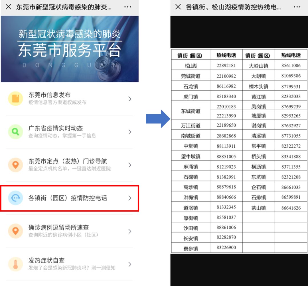 東莞最新疫情狀況，逆風(fēng)翱翔，用知識(shí)守護(hù)夢想健康