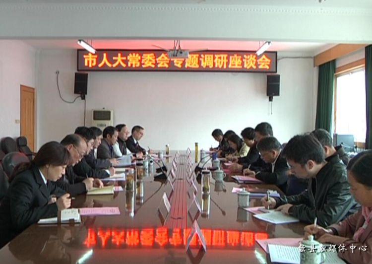 安徽歙縣最新動態(tài)，小巷深處的驚喜