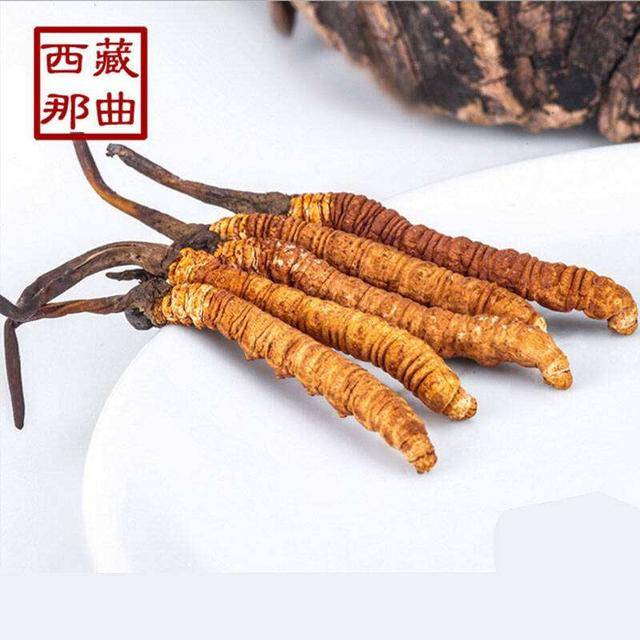揭秘2025年蟲草最新價(jià)格，探尋小巷中的秘密行情！