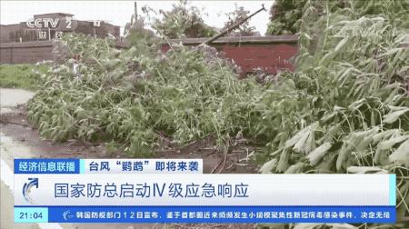 超強臺風鸚鵡來襲，最新路徑動態(tài)全解析???