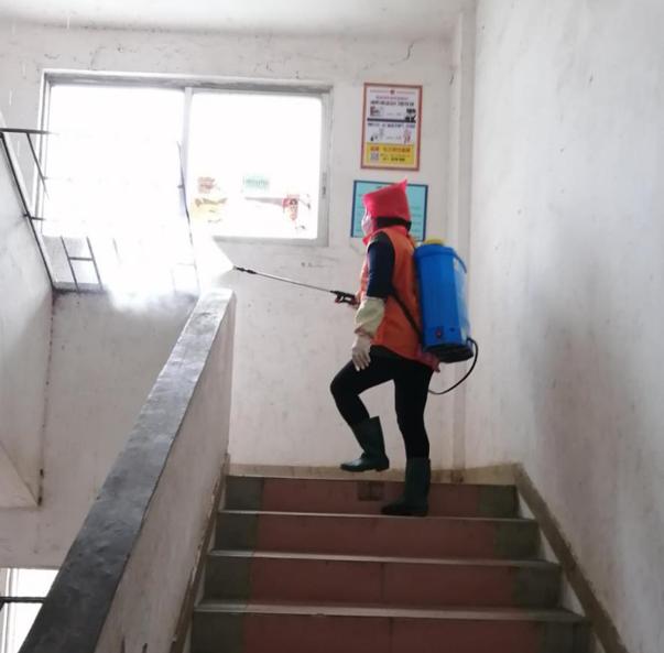 蓬江區(qū)最新高科技住宅，重塑未來(lái)生活體驗(yàn)的首選之地